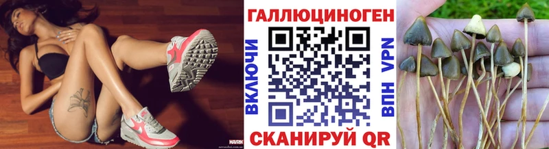 Псилоцибиновые грибы Psilocybine cubensis Котельники