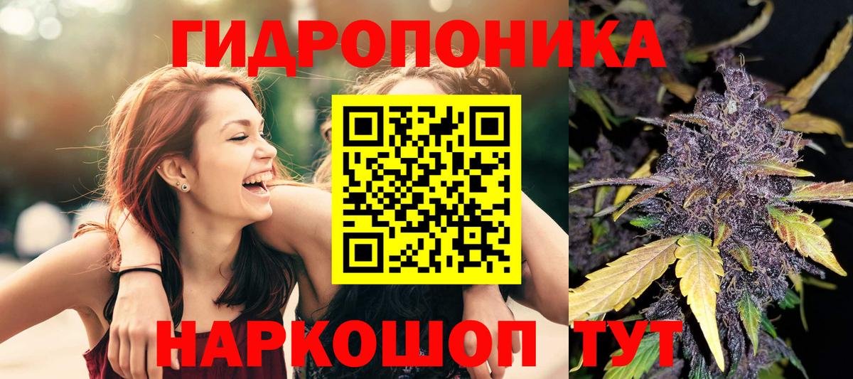 МАРИХУАНА Ganja  Вход с VPN  Котельники  Каннабис тримм  Каннабис Bruce Banner  МАРИХУАНА семена 